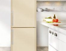 Características de la congelación en seco, el principio de acción de dicha congelación.