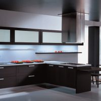 plafond en bois noir dans le style de l'image du couloir