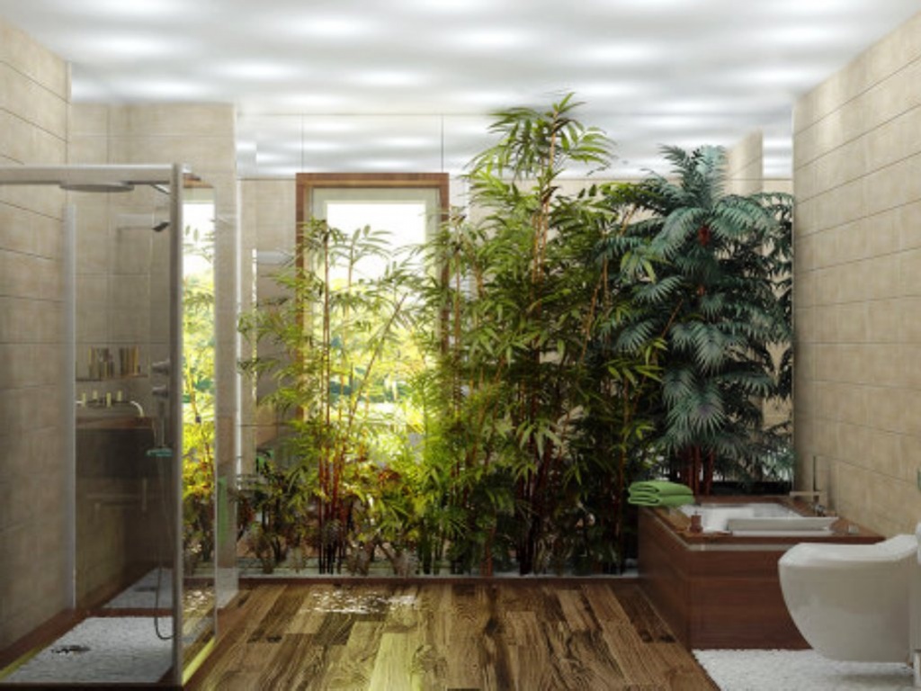 bright eco room interior