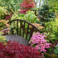 unusual landscape decor of a summer cottage in the English style with flowers picture