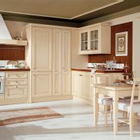 beautiful design of beige kitchen in classic photo style