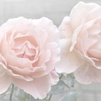 version of a beautiful room decor paper picture