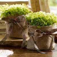 variant of bright decoration of flower pots photo