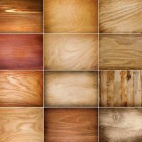 the idea of ​​a bright tree in the interior of the apartment picture