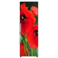 idea of unusual decoration of the refrigerator photo