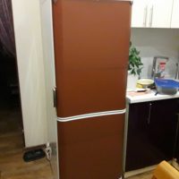 idea of bright decoration of the refrigerator in the kitchen photo