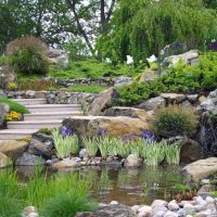 the idea of a beautiful courtyard decoration picture