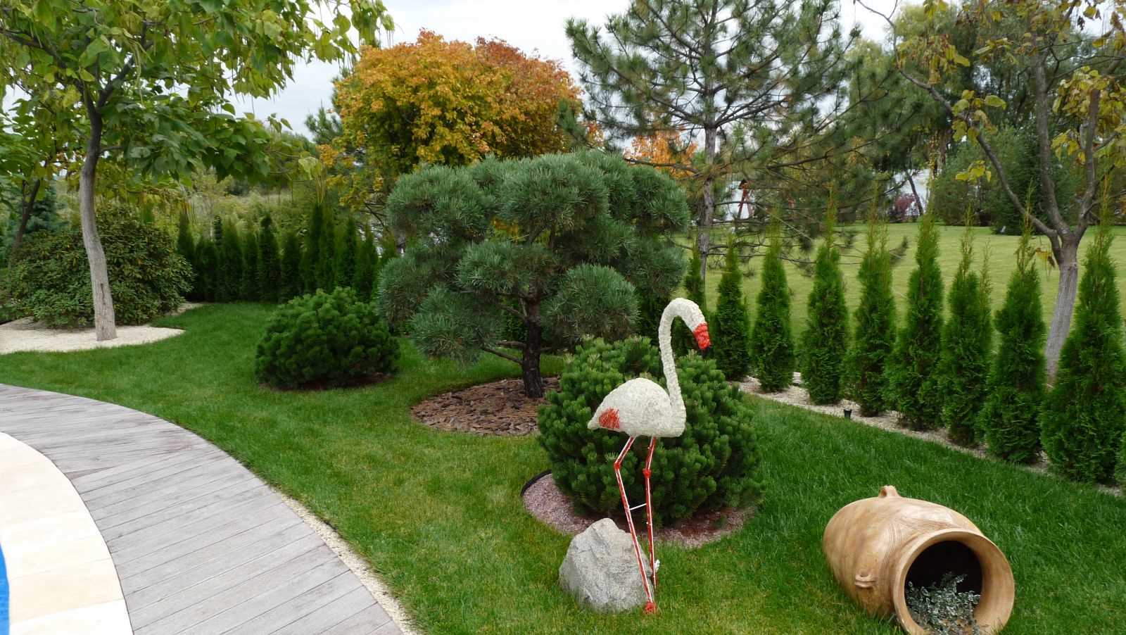 the idea of the modern design of the yard