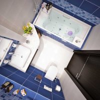 the idea of a beautiful style bathroom 4 sq.m photo