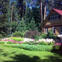 the idea of using bright plants in the landscape design of giving a photo