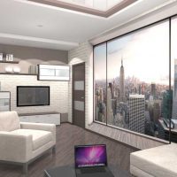 the idea of a beautiful two-room apartment decor picture