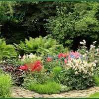 the idea of using unusual plants in the landscape design of a house picture