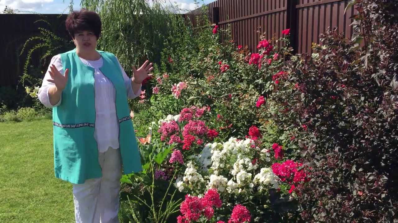 the idea of using bright plants in the landscape design of the house