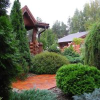 the idea of using light plants in landscape design giving photo