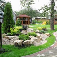 the idea of using beautiful plants in landscape design at home photo