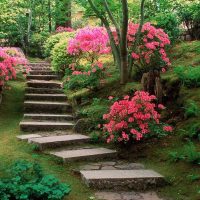 the idea of using light plants in the landscape design of the cottage picture