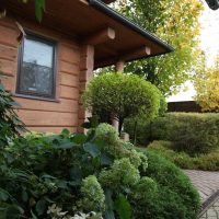 the idea of using bright plants in landscape design at home photo