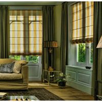 version du style lumineux de la cuisine avec des rideaux romains photo