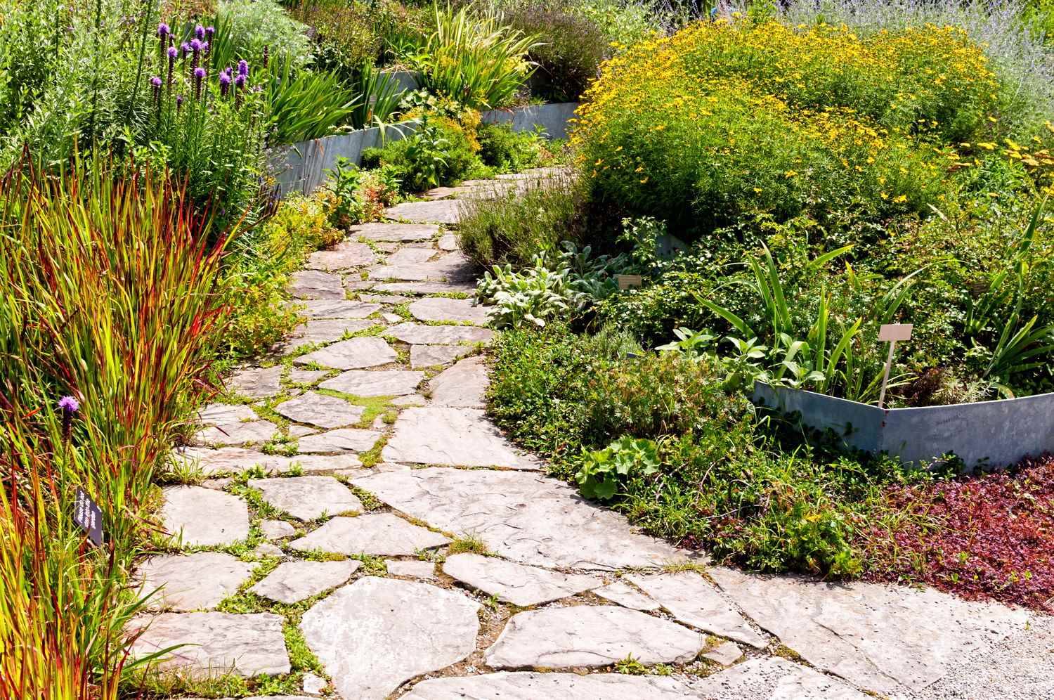 the idea of using unusual garden paths