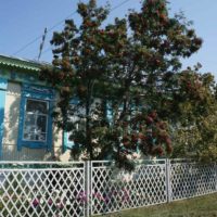 version du design inhabituel du jardin de devant dans une cour privée picture