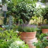 version du beau décor du jardin devant le chalet photo