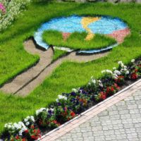 the option of using light roses in the design of the yard picture