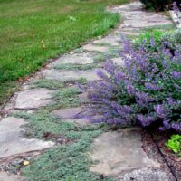 exemple d'utilisation de magnifiques allées de jardin en photo d'aménagement paysager