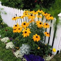 Un exemple d'une conception inhabituelle d'un jardin de devant dans une cour privée