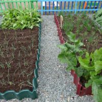 idea of an unusual design of a garden in a private courtyard picture