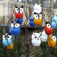 version du design lumineux du jardin de devant dans une cour privée picture