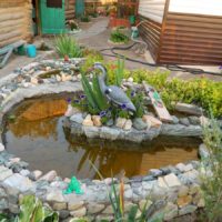 l'idée d'un design inhabituel du jardin avant au chalet photo