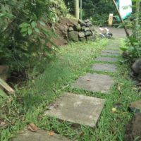 the idea of applying bright garden paths picture