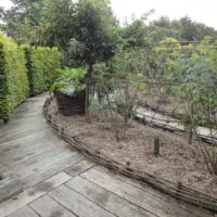 the idea of an unusual design of the garden at the cottage photo