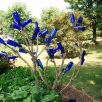 idée de la conception de jardin avant lumineux dans une photo de la cour privée