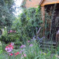 l'idée d'un design inhabituel du jardin avant au chalet photo