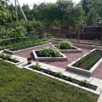 the idea of a bright decor of the garden at the cottage picture