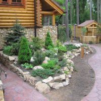 Un exemple d'une belle conception du jardin avant au chalet photo