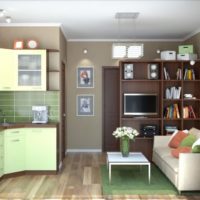 apartment design 33 m2 photo layout