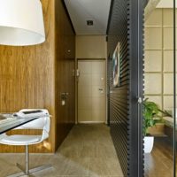 apartment design 33 m2 photo project