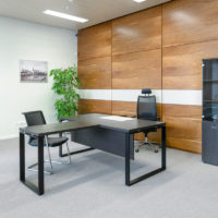 spacious executive office