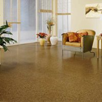 the idea of using cork in the interior of the apartment photo