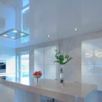 un exemple de plafond intérieur inhabituel dans la photo de la cuisine