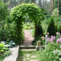 Arche d'escalade dans le jardin paysage