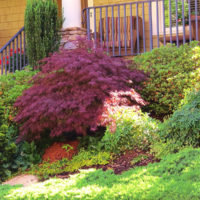 Toboggan alpin devant la maison