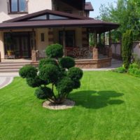 The design of the front area of the garden