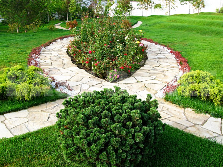 Composition de jardin de plantes à fleurs