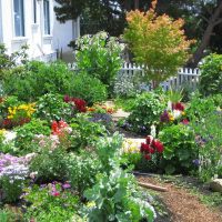 Landscaping of the front garden of the country house
