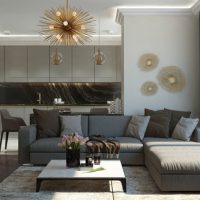 Kitchen-living room in shades of gray