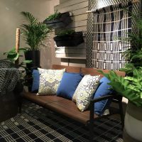 Plantes vivantes à l'intérieur du salon