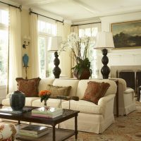 intérieur de la salle de séjour avec deux canapés